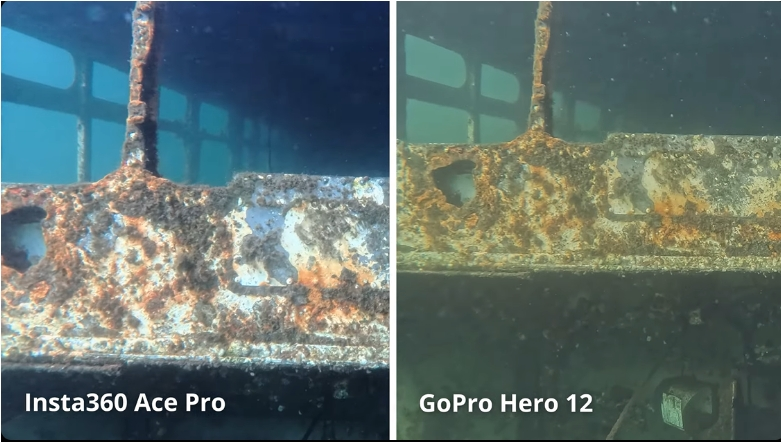 Diving camera comparison: Insta360 Ace Pro vs GoPro Hero 12